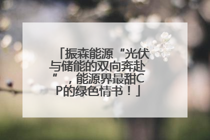 振森能源“光伏与储能的双向奔赴”，能源界最甜CP的绿色情书！
