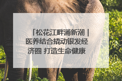 松花江畔涌新潮｜医养结合撬动银发经济圈 打造生命健康产业新样本