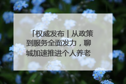 权威发布｜从政策到服务全面发力，聊城加速推进个人养老金制度落地