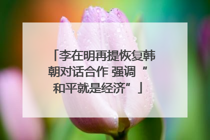 李在明再提恢复韩朝对话合作 强调“和平就是经济”