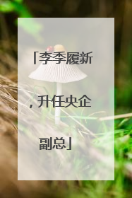 李季履新，升任央企副总