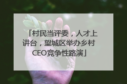 村民当评委，人才上讲台，望城区举办乡村CEO竞争性路演