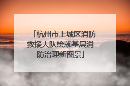 杭州市上城区消防救援大队绘就基层消防治理新图景