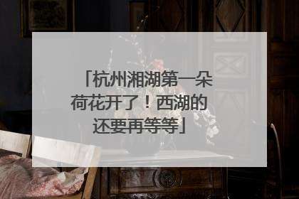 杭州湘湖第一朵荷花开了！西湖的还要再等等