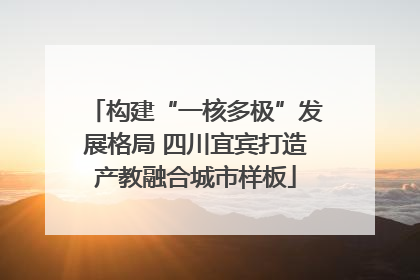 构建“一核多极”发展格局 四川宜宾打造产教融合城市样板