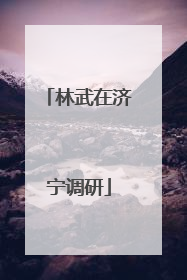 林武在济宁调研