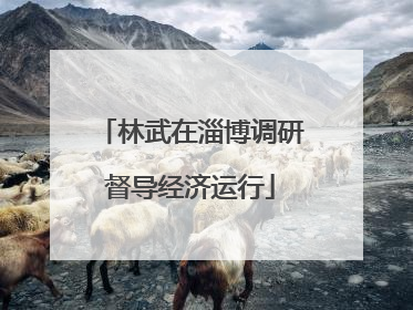 林武在淄博调研督导经济运行