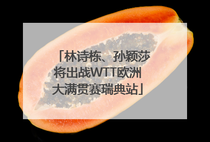 林诗栋、孙颖莎将出战WTT欧洲大满贯赛瑞典站