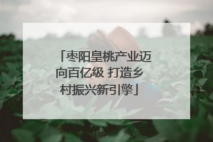 枣阳皇桃产业迈向百亿级 打造乡村振兴新引擎