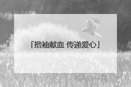 撸袖献血 传递爱心