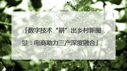 数字技术“耕”出乡村新图景：电商助力三产深度融合