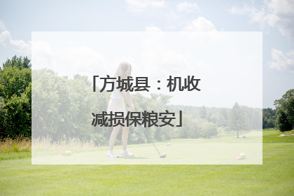方城县：机收减损保粮安