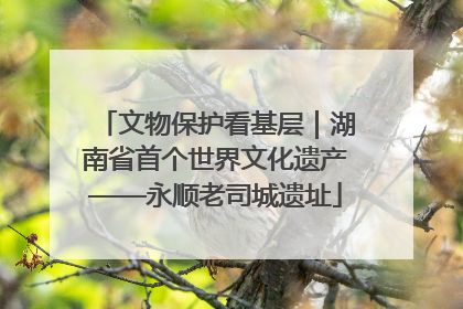 文物保护看基层｜湖南省首个世界文化遗产——永顺老司城遗址