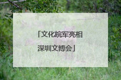 文化皖军亮相深圳文博会