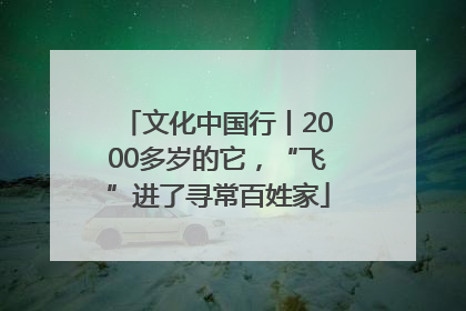 文化中国行丨2000多岁的它，“飞”进了寻常百姓家