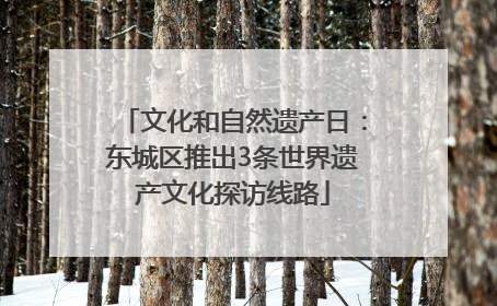 文化和自然遗产日：东城区推出3条世界遗产文化探访线路