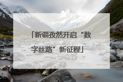 新疆孜然开启“数字丝路”新征程
