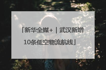 新华全媒+｜武汉新增10条低空物流航线