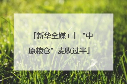 新华全媒+丨“中原粮仓”麦收过半