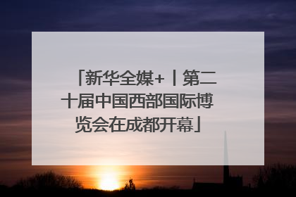 新华全媒+丨第二十届中国西部国际博览会在成都开幕