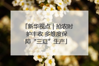 新华视点｜抢农时 护丰收 多维度保障“三夏”生产