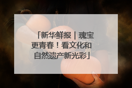 新华鲜报｜瑰宝更青春！看文化和自然遗产新光彩