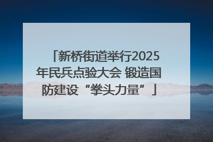 新桥街道举行2025年民兵点验大会 锻造国防建设“拳头力量”