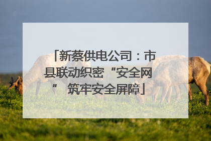 新蔡供电公司：市县联动织密“安全网” 筑牢安全屏障