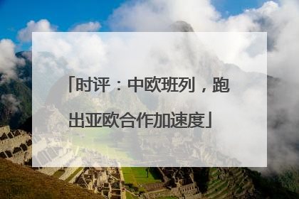 时评：中欧班列，跑出亚欧合作加速度
