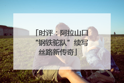 时评：阿拉山口“钢铁驼队”续写丝路新传奇