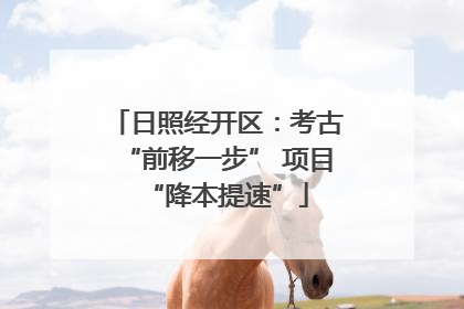 日照经开区：考古“前移一步” 项目“降本提速”