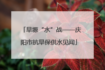 旱塬“水”战——庆阳市抗旱保供水见闻