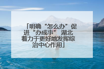 明确“怎么办”促进“办成事” 湖北着力于更好地发挥综治中心作用