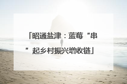 昭通盐津：蓝莓“串”起乡村振兴增收链