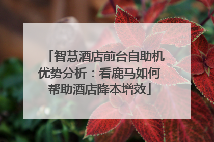 智慧酒店前台自助机优势分析：看鹿马如何帮助酒店降本增效