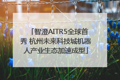 智澄AITR5全球首秀 杭州未来科技城机器人产业生态加速成型