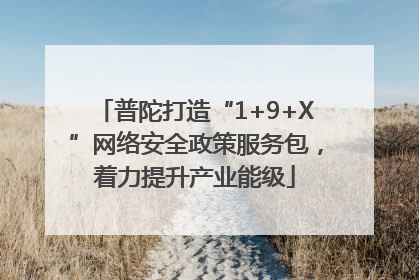普陀打造“1+9+X”网络安全政策服务包，着力提升产业能级