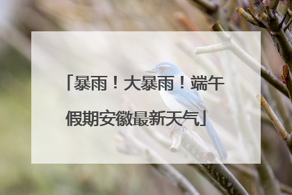 暴雨！大暴雨！端午假期安徽最新天气