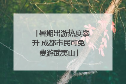 暑期出游热度攀升 成都市民可免费游武夷山