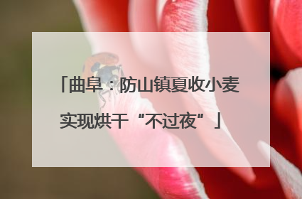 曲阜：防山镇夏收小麦实现烘干“不过夜”