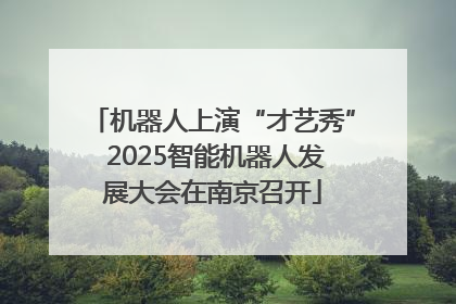 机器人上演“才艺秀” 2025智能机器人发展大会在南京召开