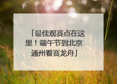 最佳观赛点在这里！端午节到北京通州看赛龙舟