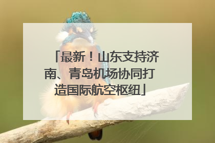 最新！山东支持济南、青岛机场协同打造国际航空枢纽
