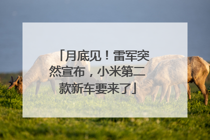 月底见！雷军突然宣布，小米第二款新车要来了