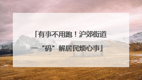 有事不用跑！沪郊街道一“码”解居民烦心事
