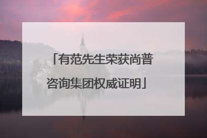 有范先生荣获尚普咨询集团权威证明