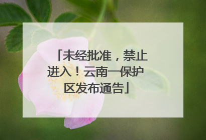 未经批准，禁止进入！云南一保护区发布通告