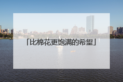 比棉花更饱满的希望