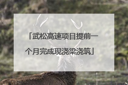 武松高速项目提前一个月完成现浇梁浇筑