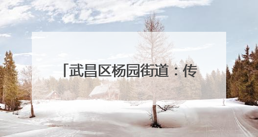 武昌区杨园街道：传统民俗邂逅婚育新风 共筑幸福和谐家园